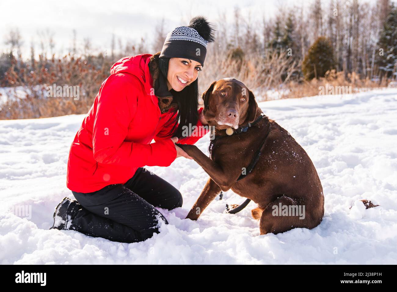 Portrait of a woman with labrador dog in winter season Stock Photo