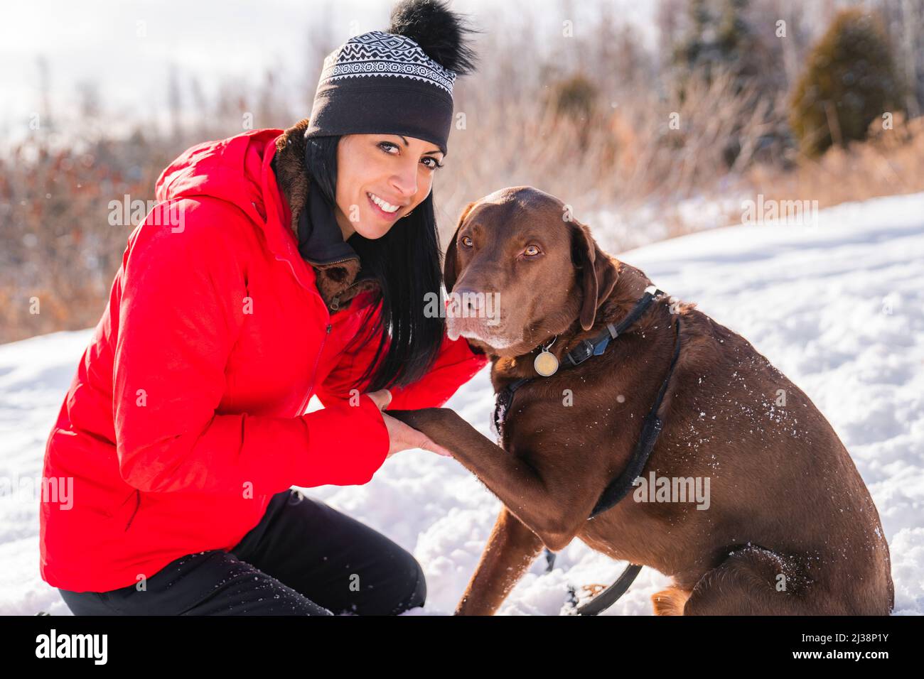 Portrait of a woman with labrador dog in winter season Stock Photo