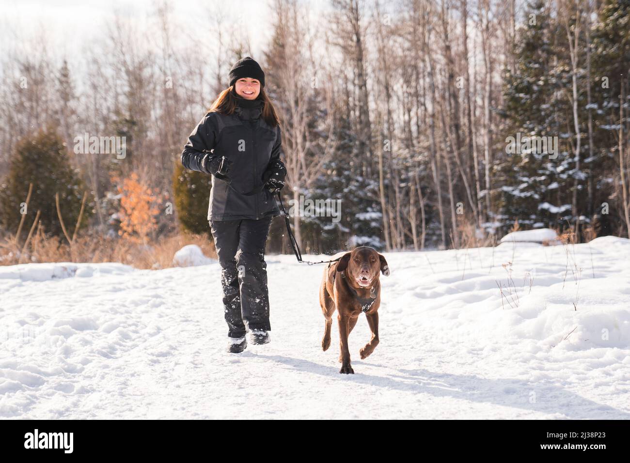 Portrait of little girl with labrador dog in winter season Stock Photo