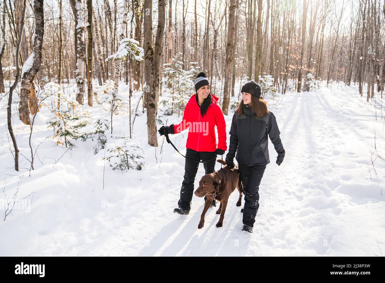 portrait of mother with his teen girl while enjoying outdoors in winter with labrador brown dog Stock Photo