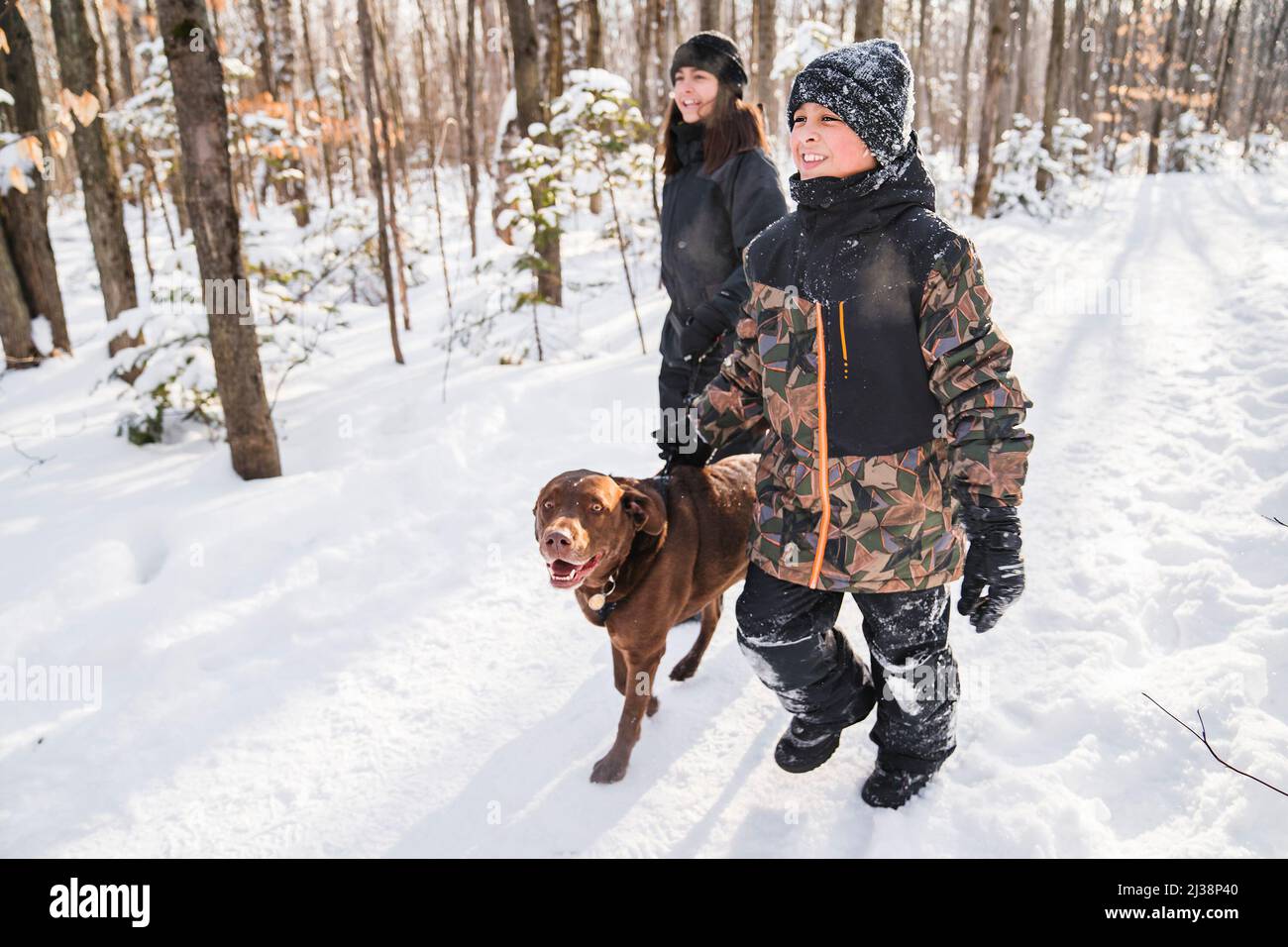 Portrait of brother and sister with labrador dog walking in winter ...