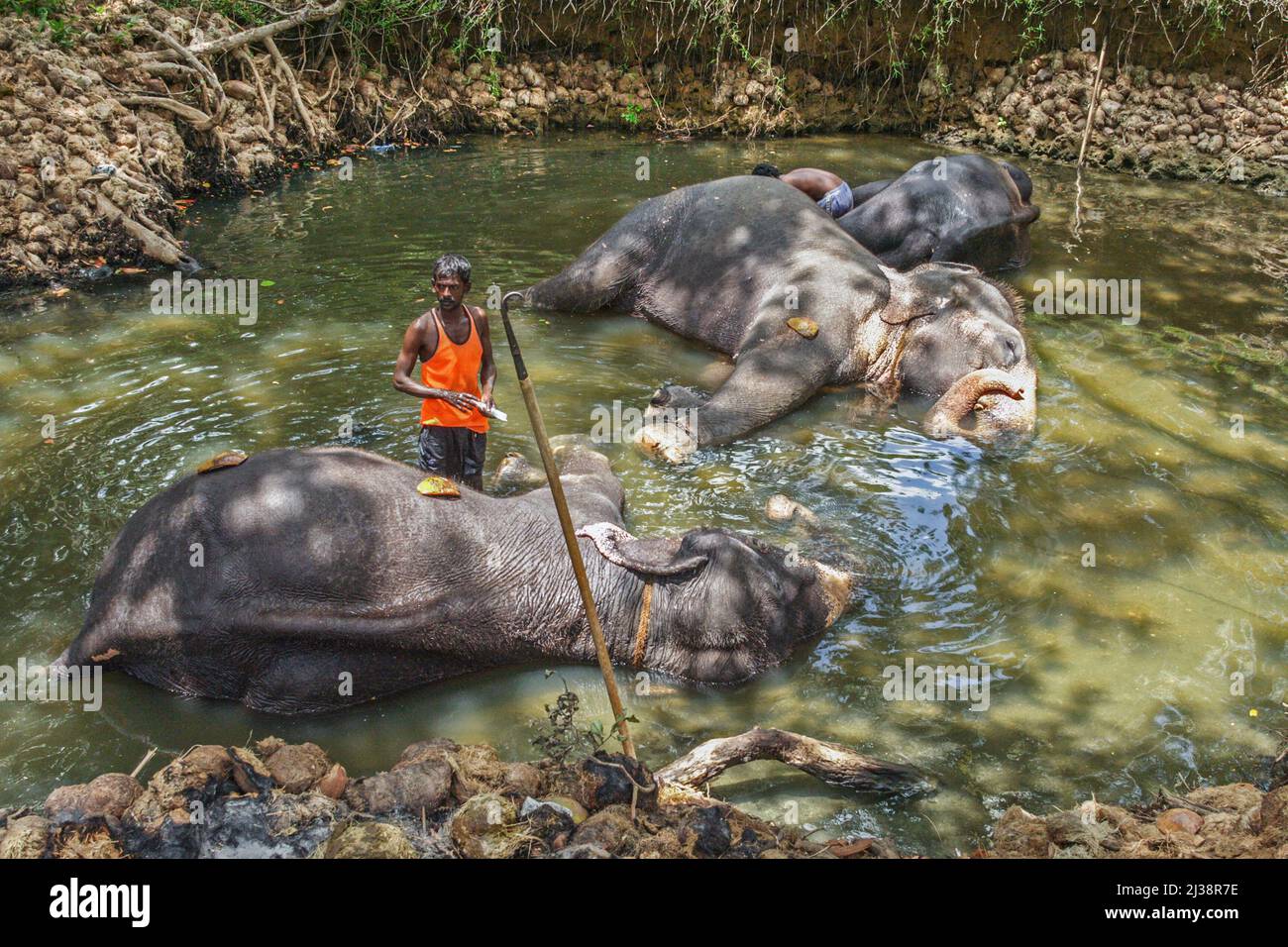 Sri lanka aug 2005 hi-res stock photography and images - Alamy
