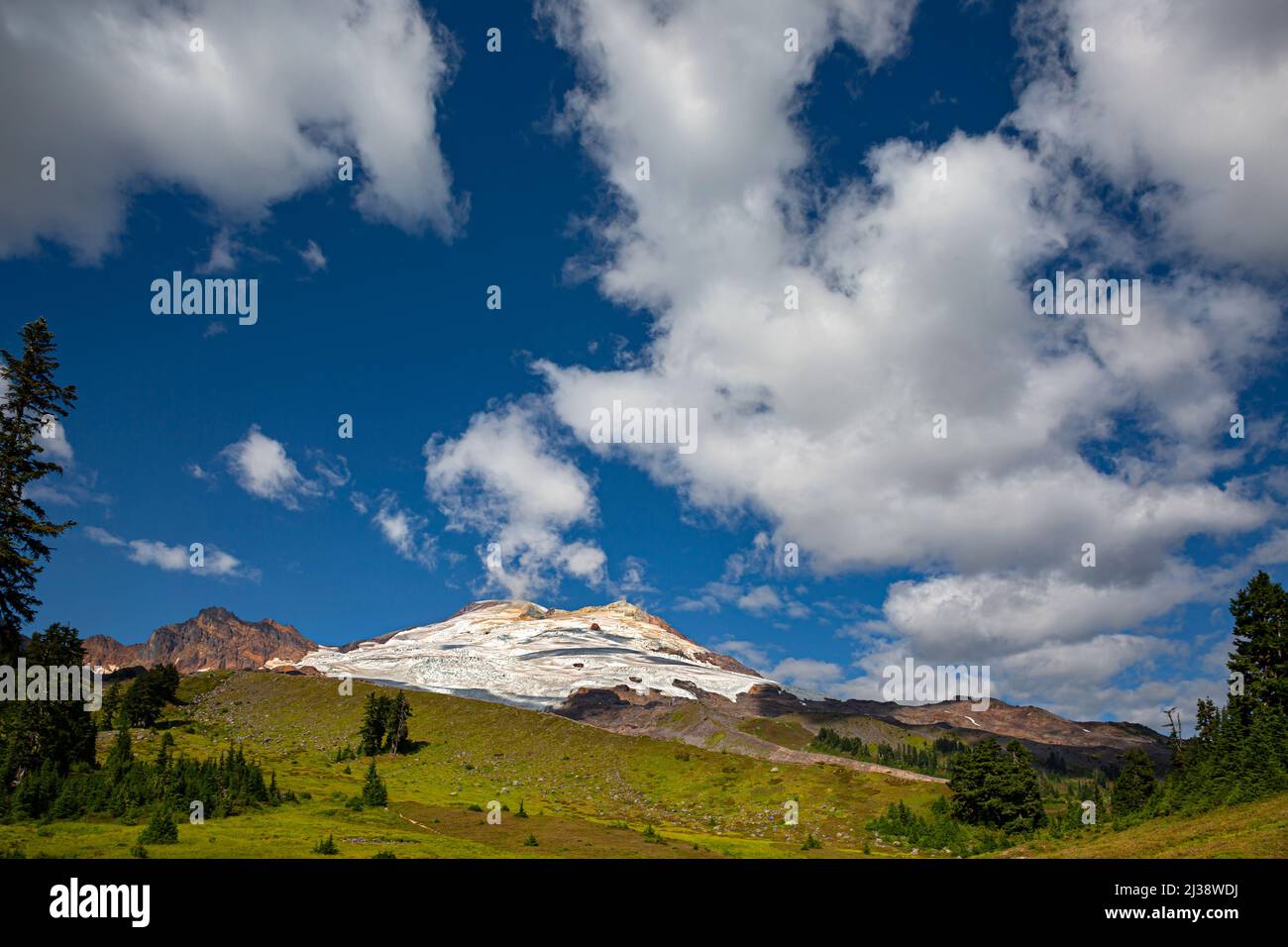 WA21327-00...WASHINGTON - Meadows below the Railroad Grade leading to Easton Glacier and the summit of Mount Baker in the Mount Baker National Recreat Stock Photo