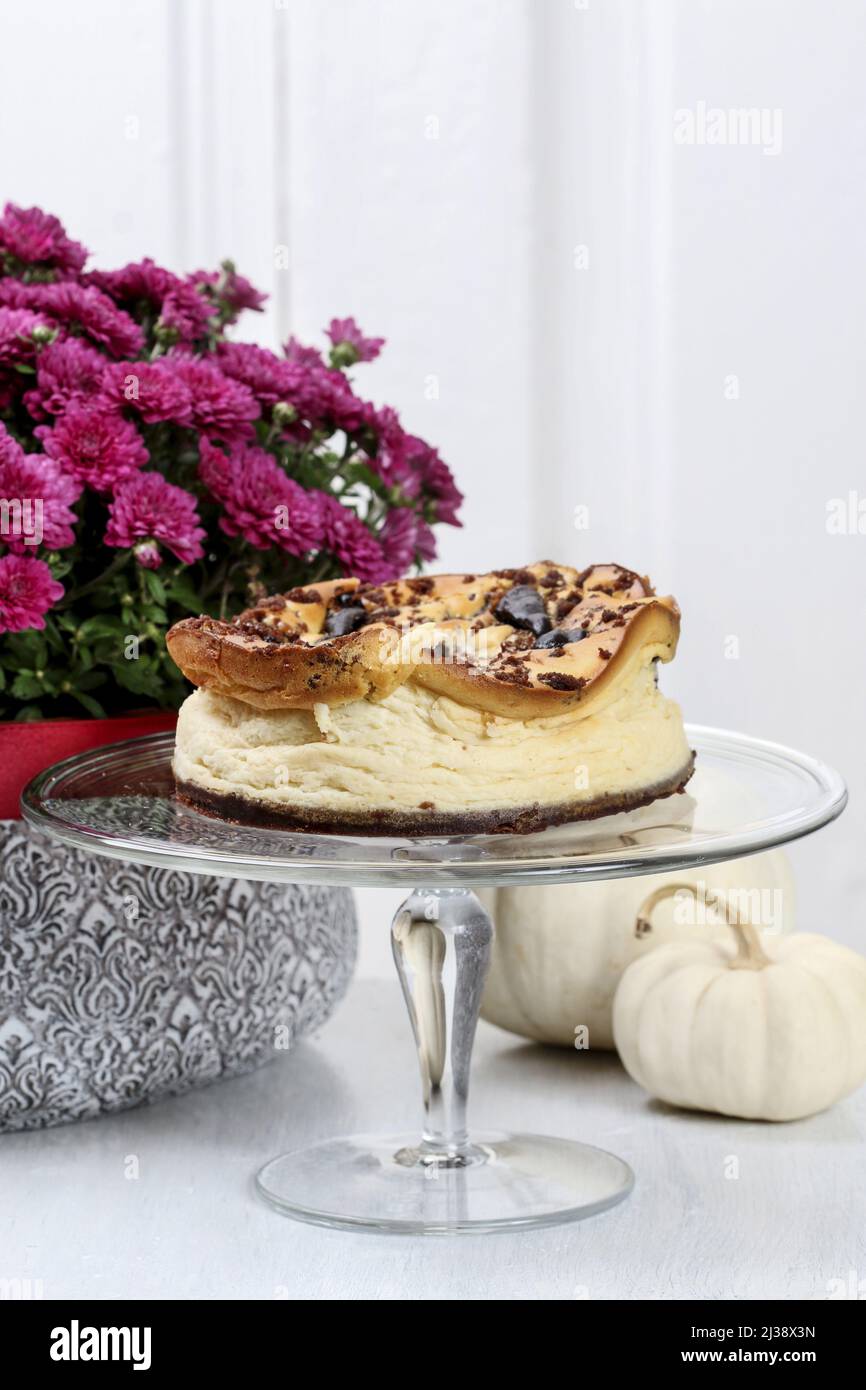 Traditional christmas cheesecake with chocolate topping. Party dessert