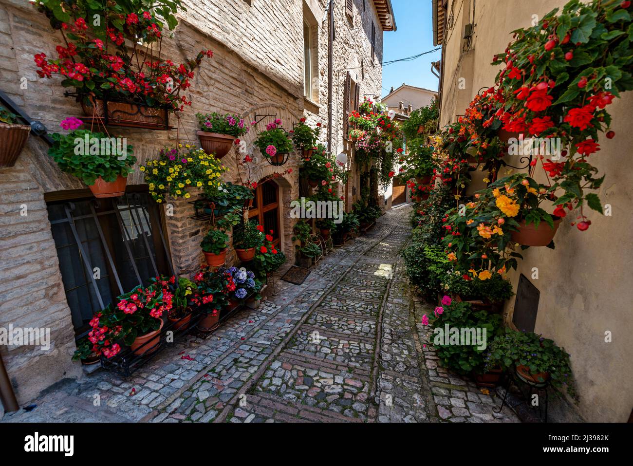 Spello (PG), Umbria, Italy Stock Photo