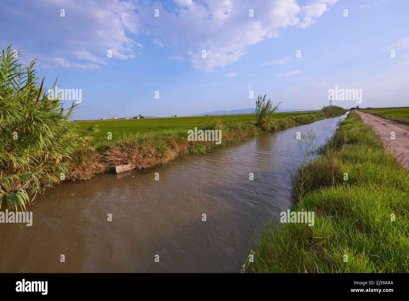 Water Channel Rice Field Green rice field irrigation channel hi-res stock photography and images ...