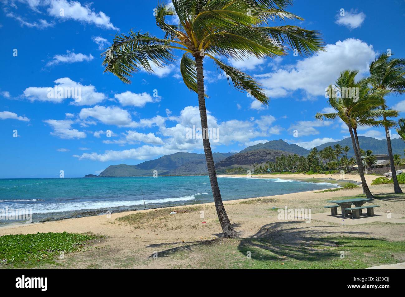 Scenic impressions from renowned Honolulu, Oahu HI Stock Photo - Alamy