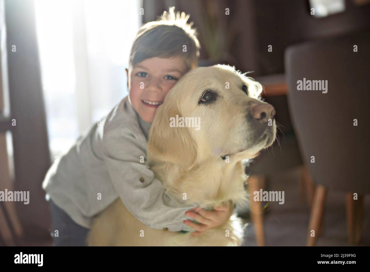 Kid play with puppy. Little boy and golden retriever at home Stock Photo