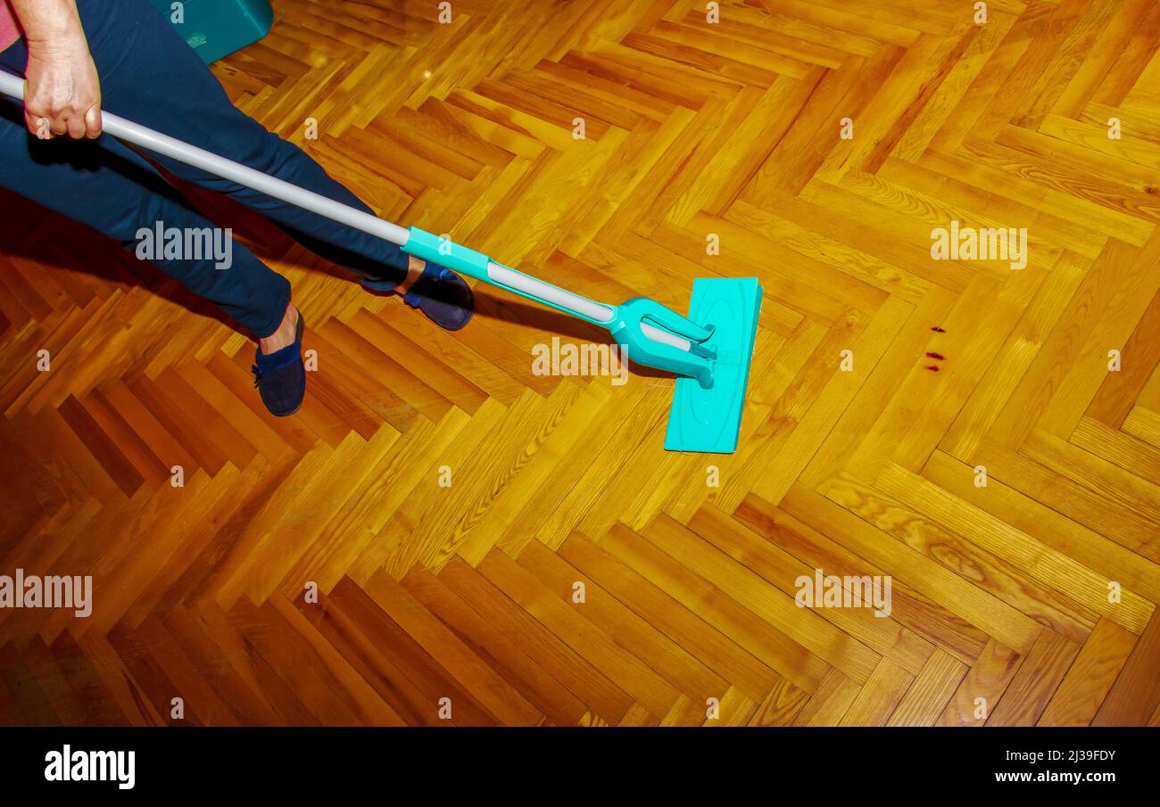 Mop your wood floor. A woman washes the parquet with a mop with a