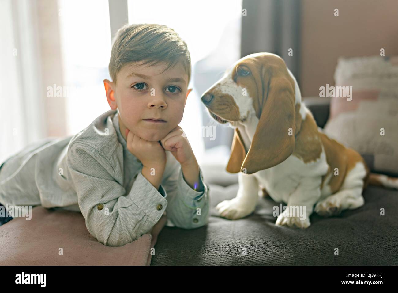 Happy kid in living room at home with Basset dog Stock Photo