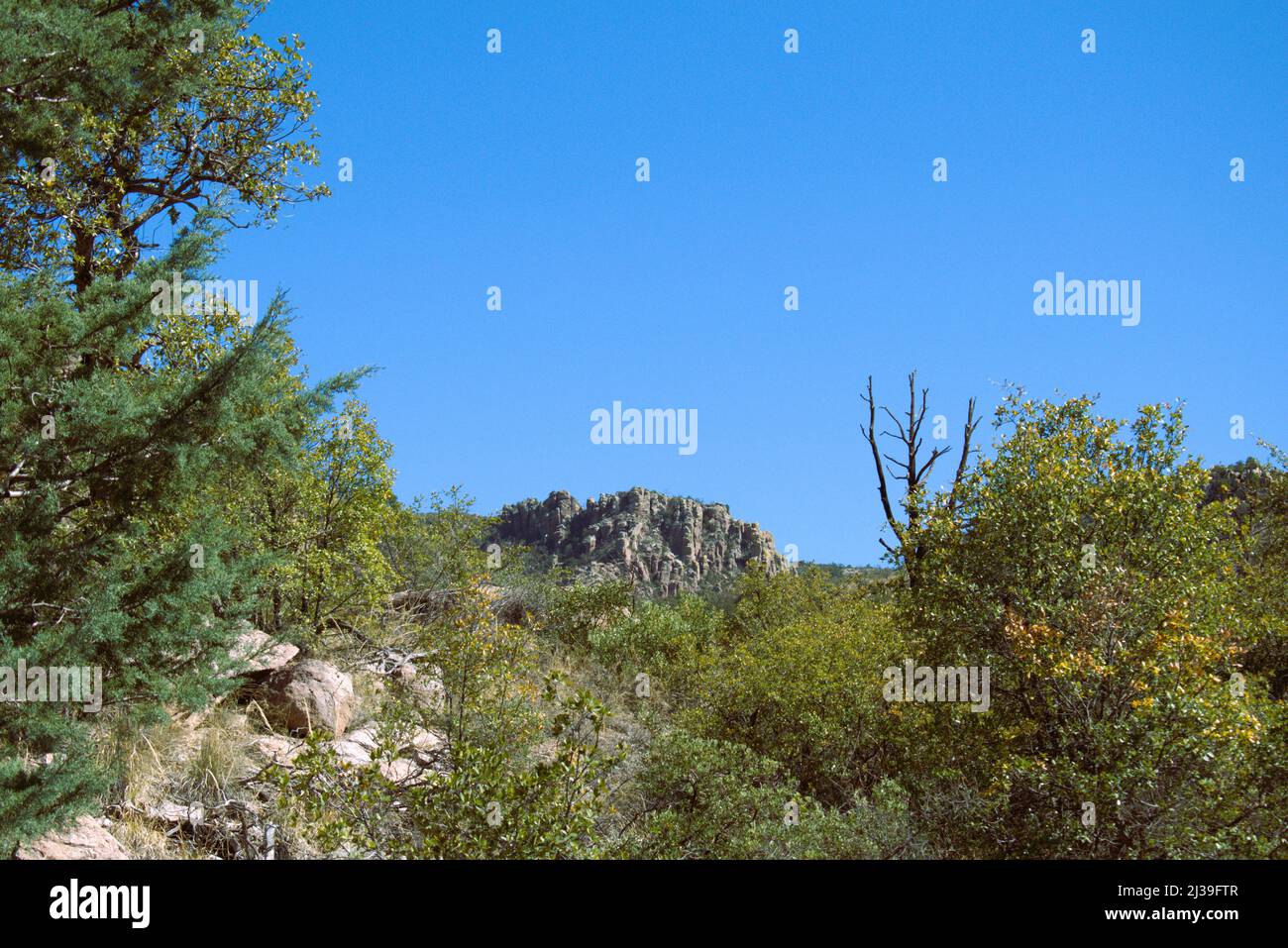 Chiricahua National Monument Stock Photo Alamy