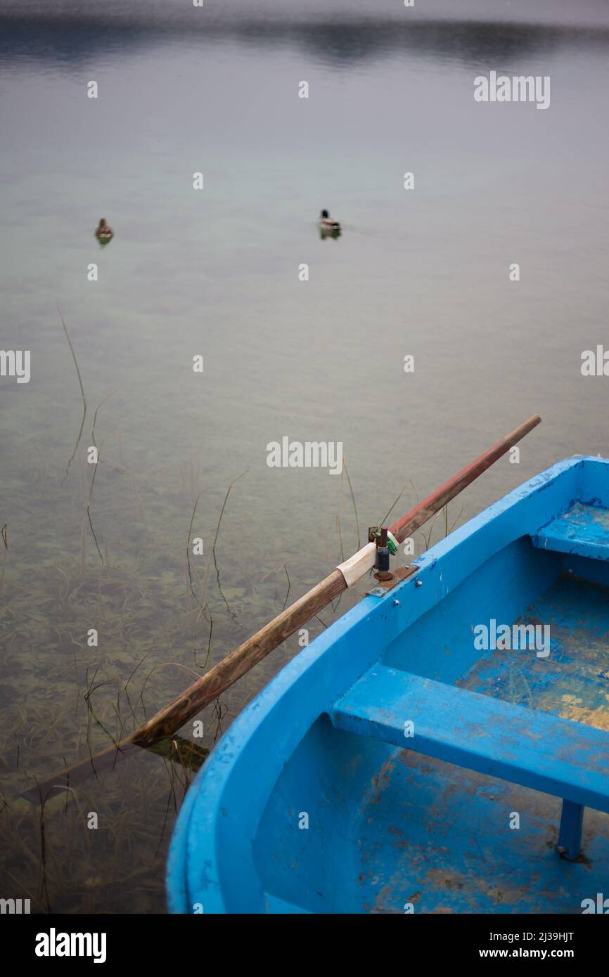Blue old boat with wooden row at the edge of a water lake with some ducks swimming Stock Photo
