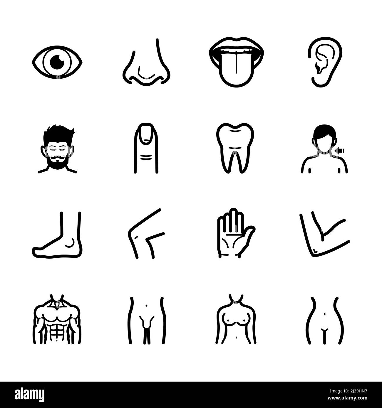Human Anatomy icons with White Background Stock Photo