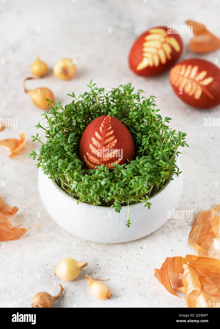 Easter egg with pattern leaves in a traditional rustic style in cress nest. Healthy food concept. Stock Photo