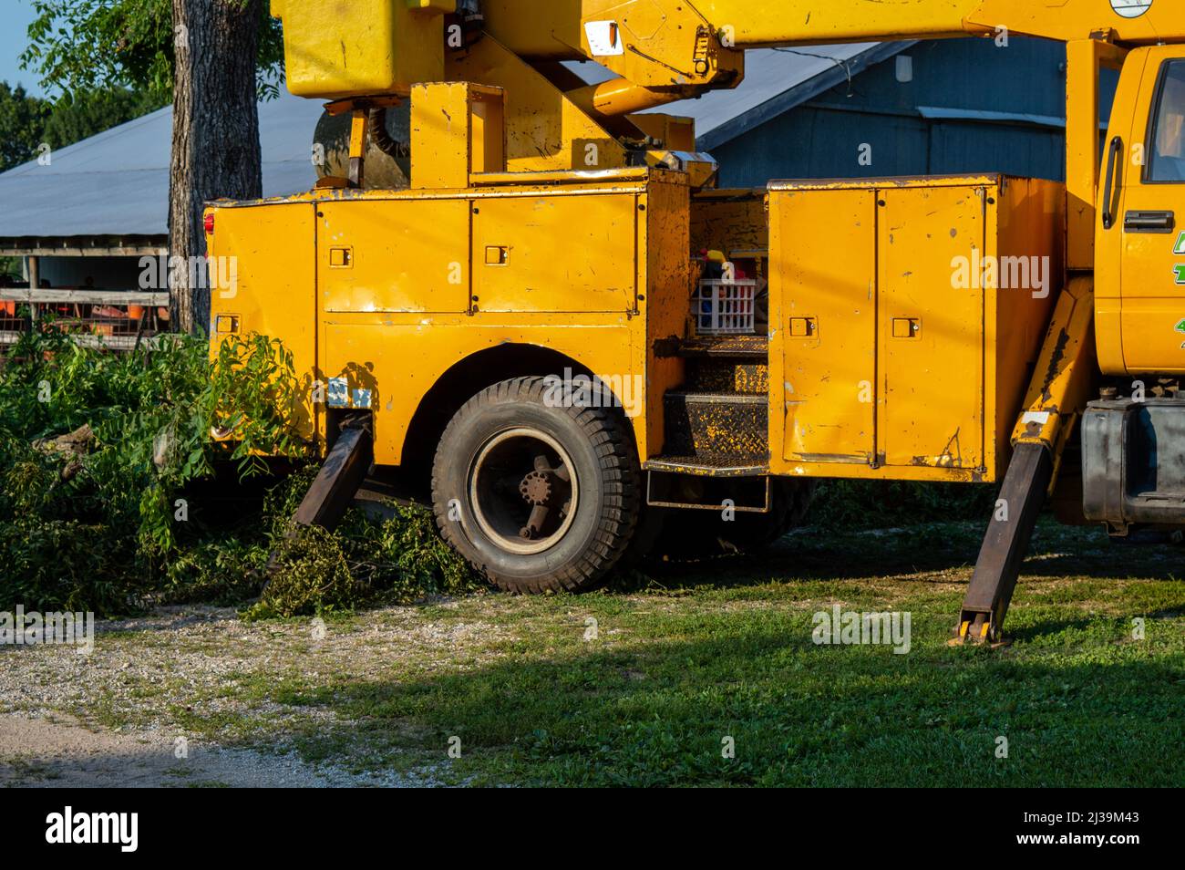 A utility bucket truck is essential when it is time to cut down a old and dying tree from a residential yard. A professional is a must. Stock Photo