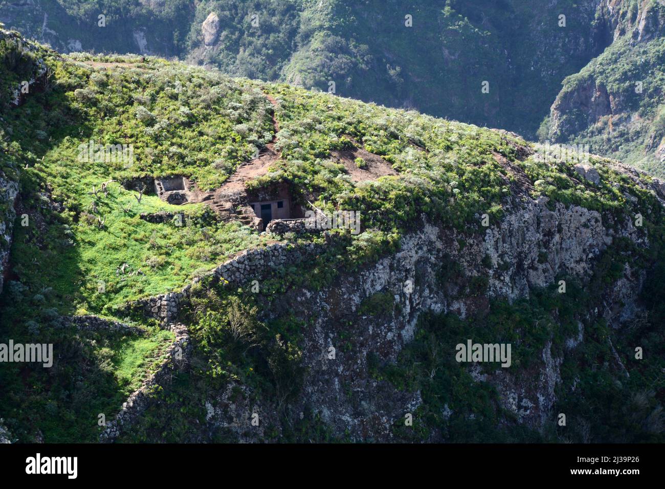 Old stone cave houses buried in a cliff face near the village of Taborno in the Anaga Mountains of Tenerife, Anaga Rural Park, Canary Islands, Spain. Stock Photo