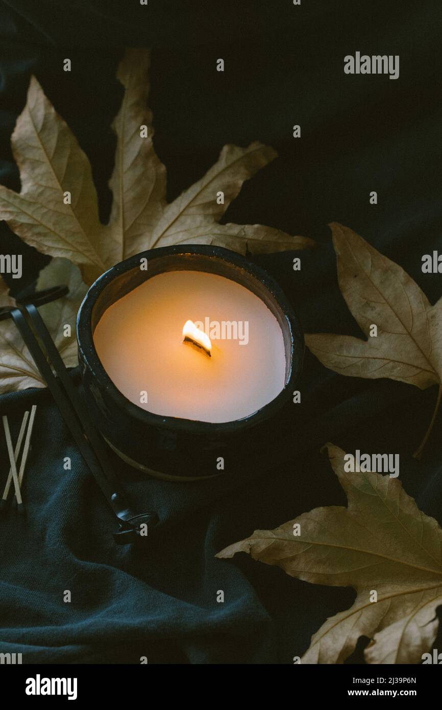 Lit wooden wick candle with fall foliage and dark background Stock