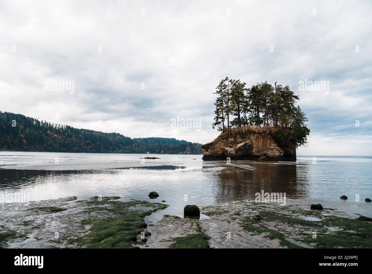 Sea stack with trees on Washington's North Coast Stock Photo