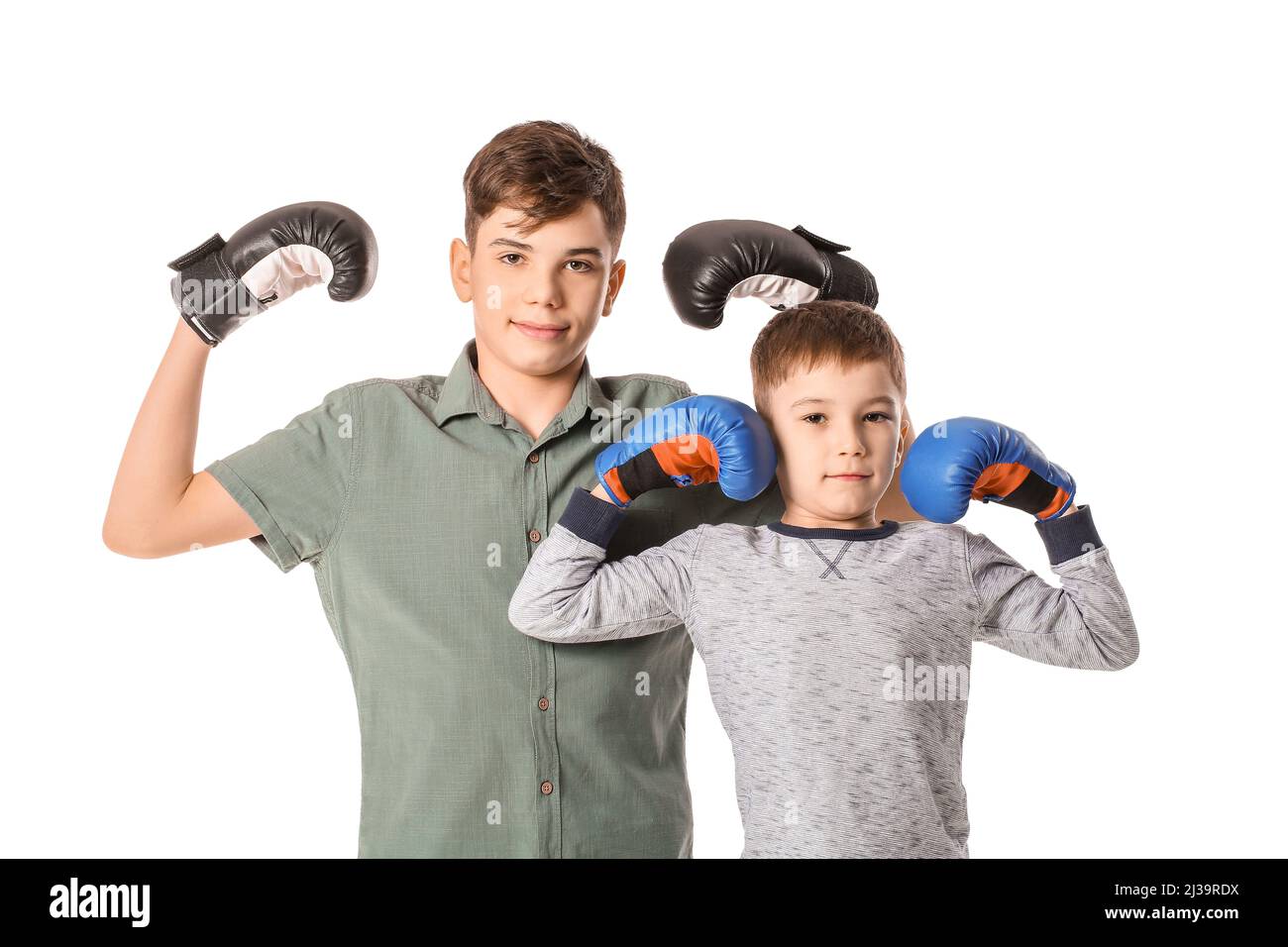 Cute brothers with boxing gloves on white background Stock Photo Alamy
