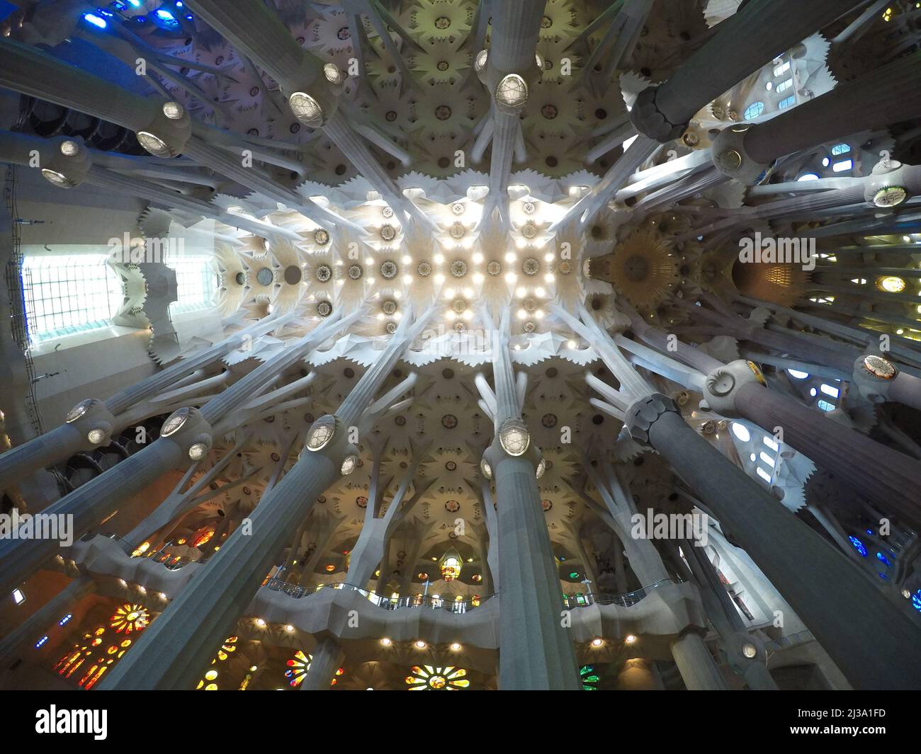 The ceiling of the inside of the Sagrada de La Familia in Barcelona ...
