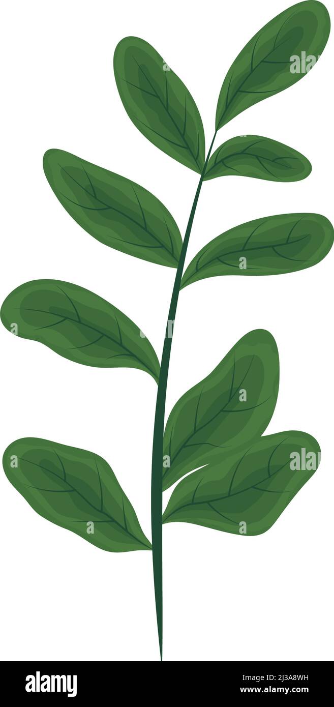 nature plant icon Stock Vector Image & Art - Alamy