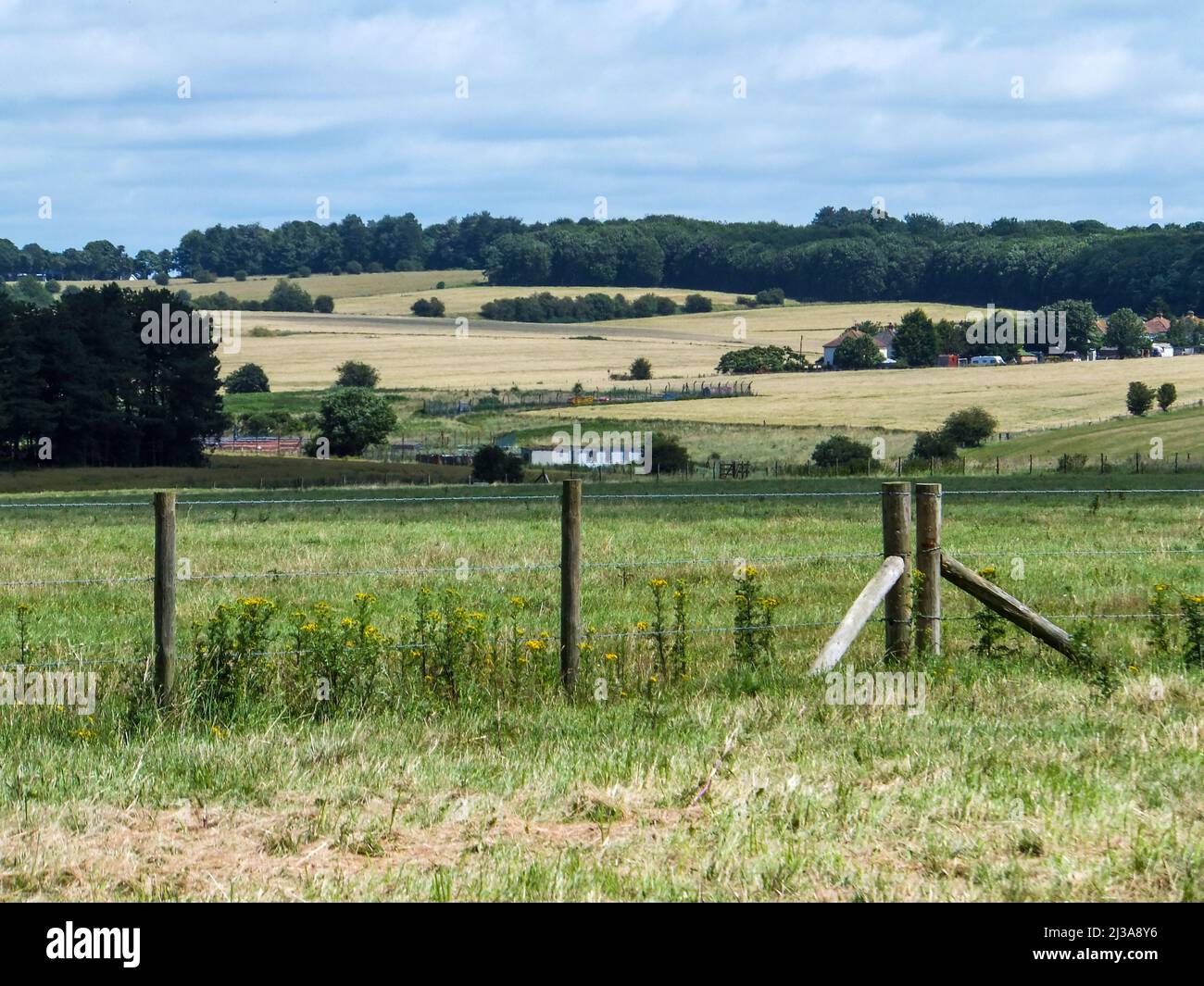 Looking across the pastoral Salisbury Plain near Amesbury, Salisbury, England, UK. Stock Photo