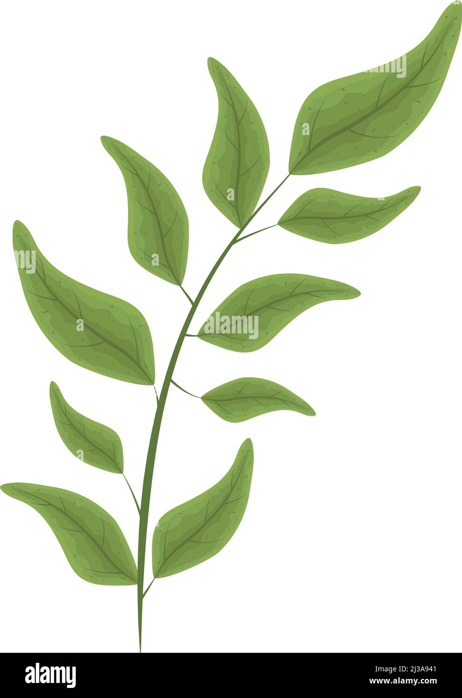 nature vegetation icon Stock Vector Image & Art - Alamy