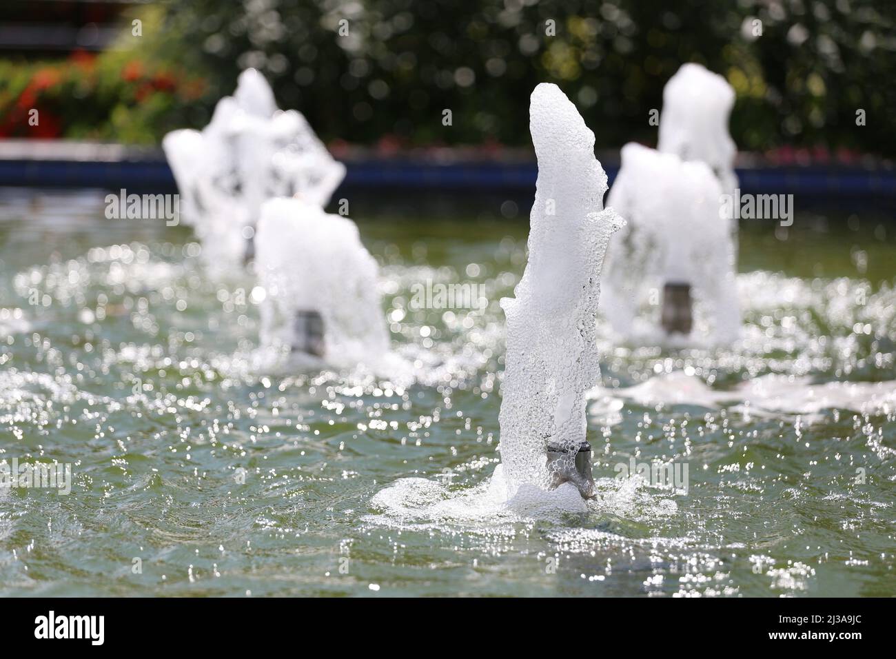 Fountain is going up in the garden pond for design in your work. Stock Photo