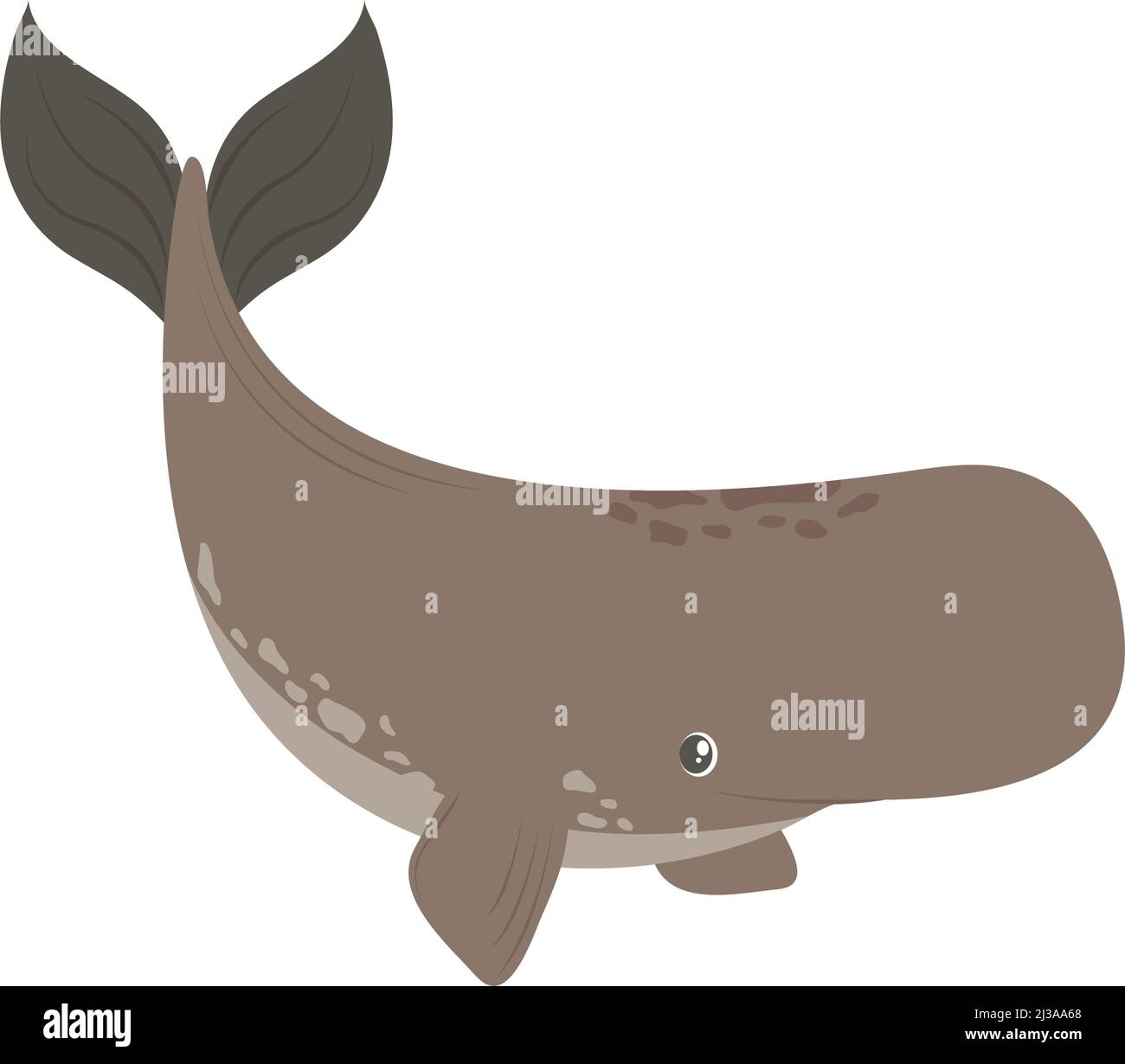 whale sea life Stock Vector Image & Art - Alamy