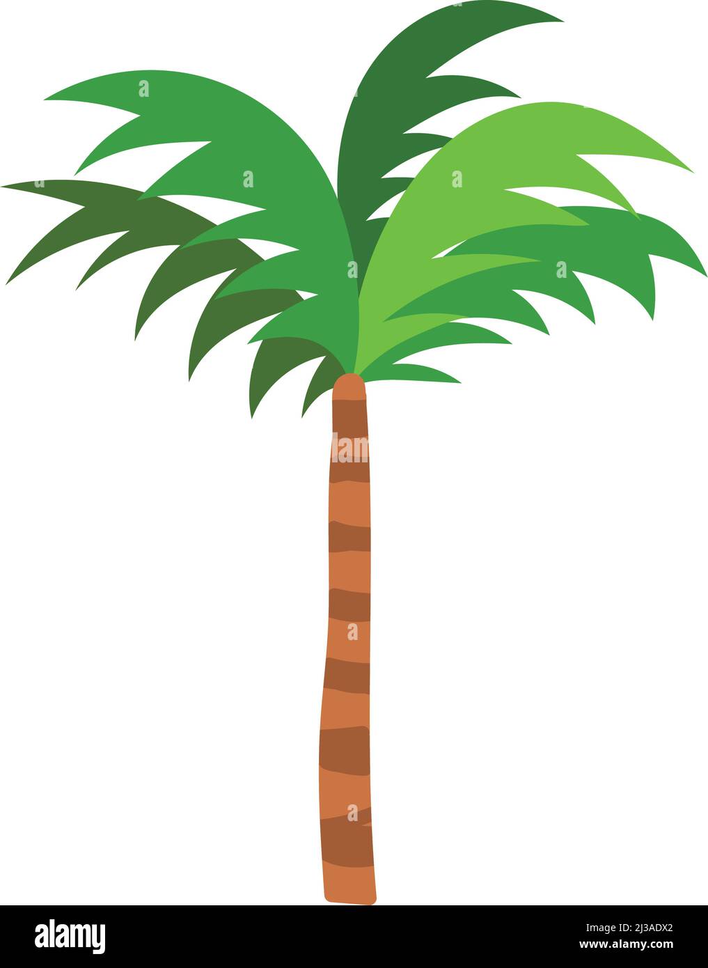 tropical palm tree Stock Vector Image & Art - Alamy