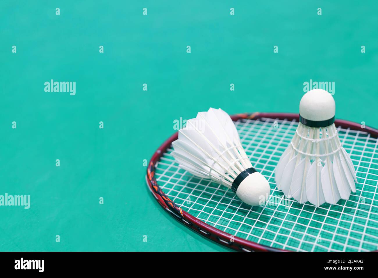 new shuttlecock on green badminton playing court Stock Photo