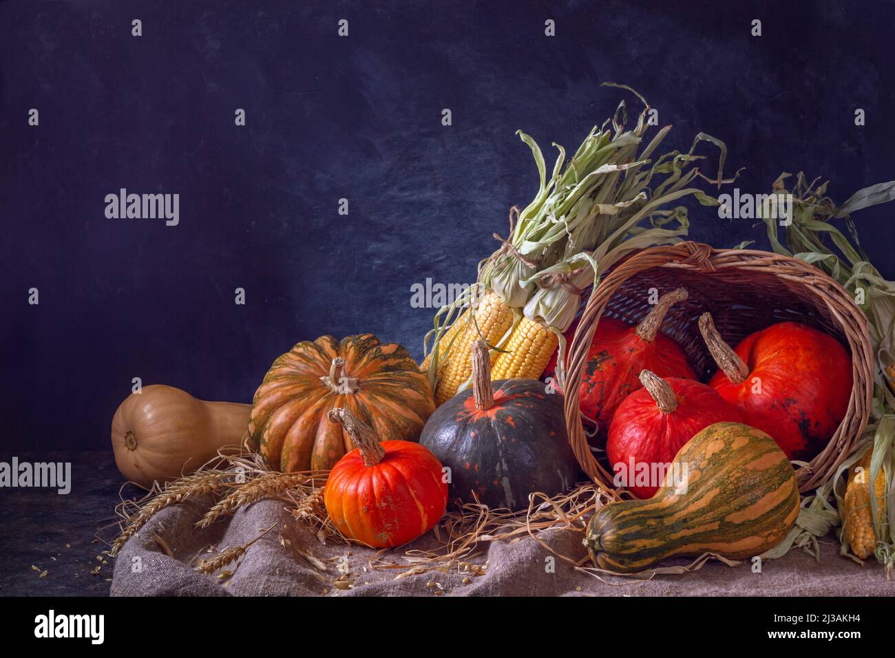 Autumn still life with pumpkin fruits of different colors and sizes and ...
