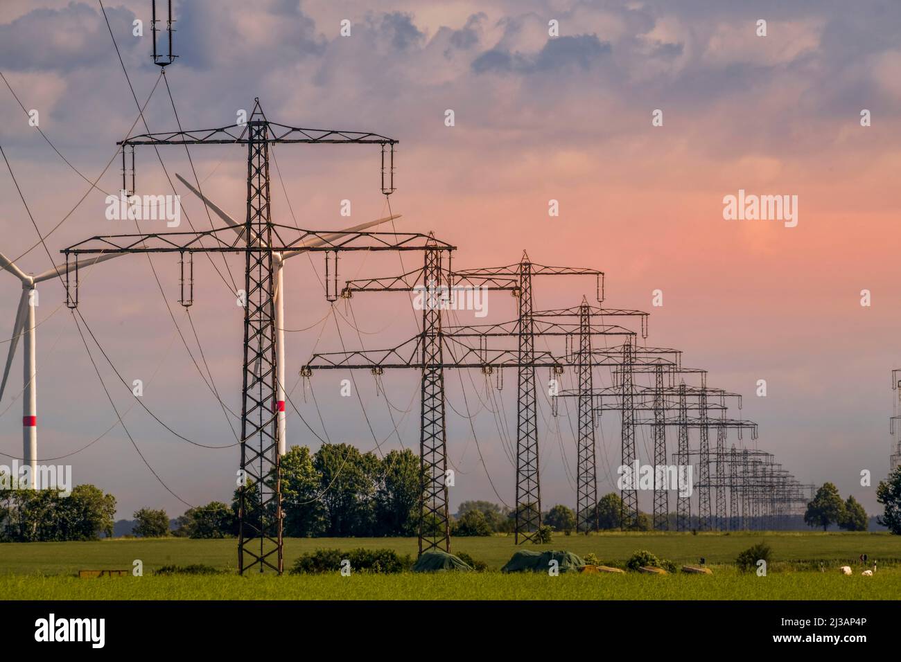 Electricity pylons near Springe, Lower Saxony, Germany Stock Photo