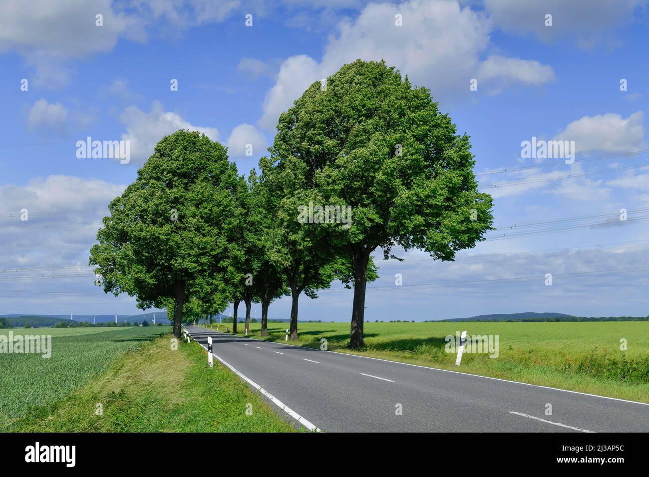 Country road near Springe, Lower Saxony, Germany Stock Photo