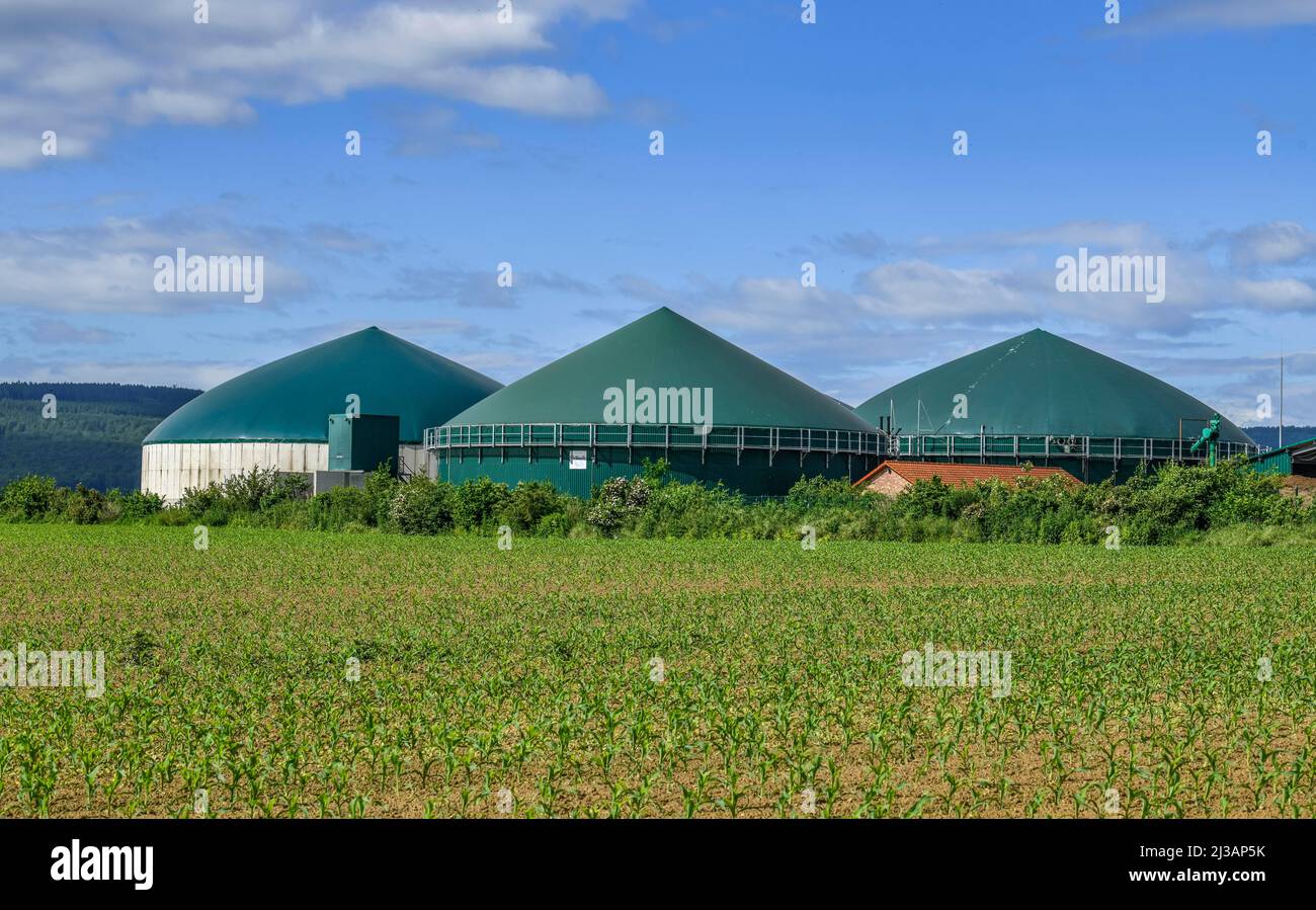 Biogas plant near Springe, Lower Saxony, Germany Stock Photo