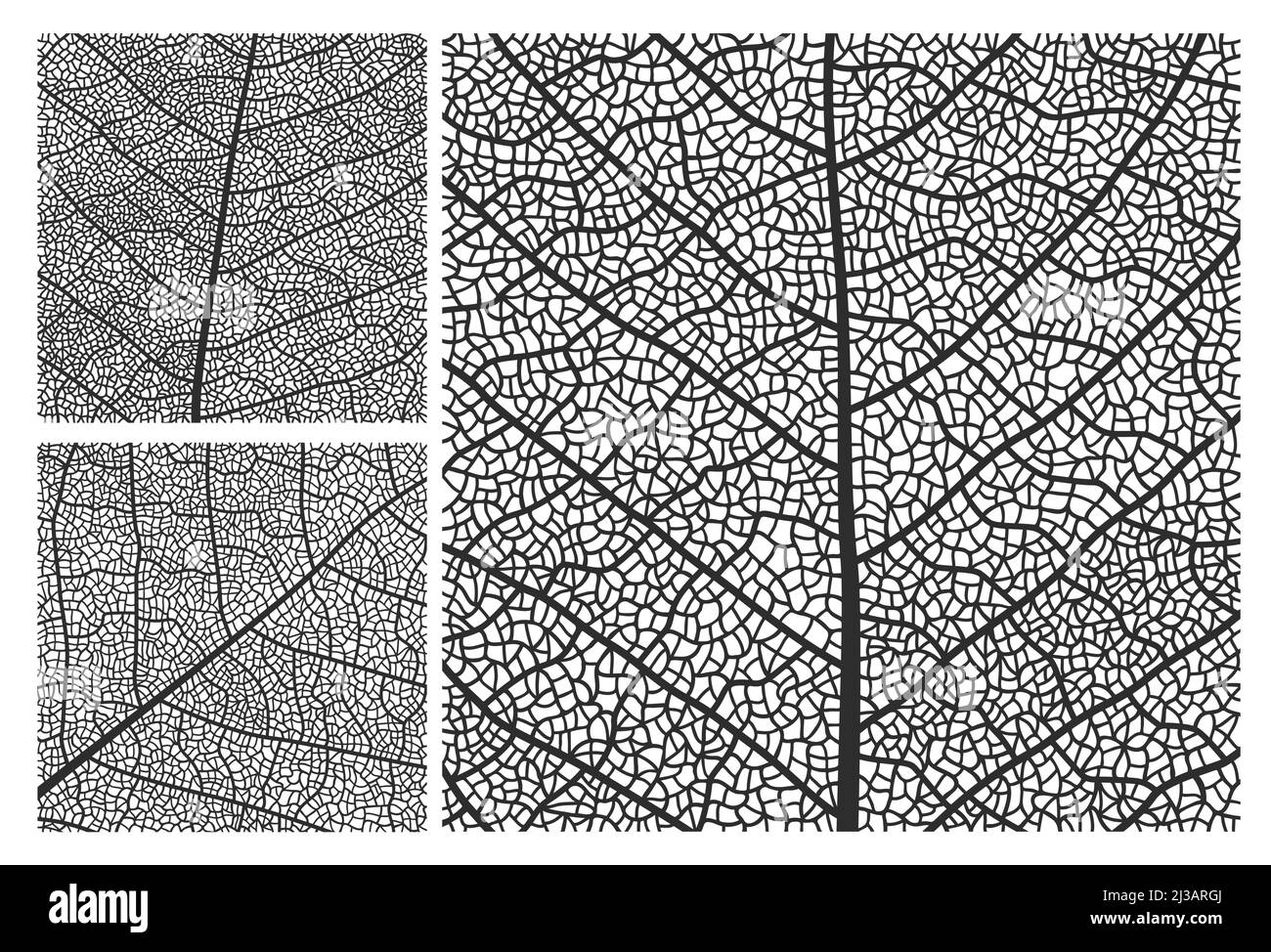 Leaf texture pattern background with veins and cells. Vector closeup plant leaf pattern set with monochrome ornaments of maple, birch or walnut tree leaves mosaic structure, nature abstract backdrop Stock Vector