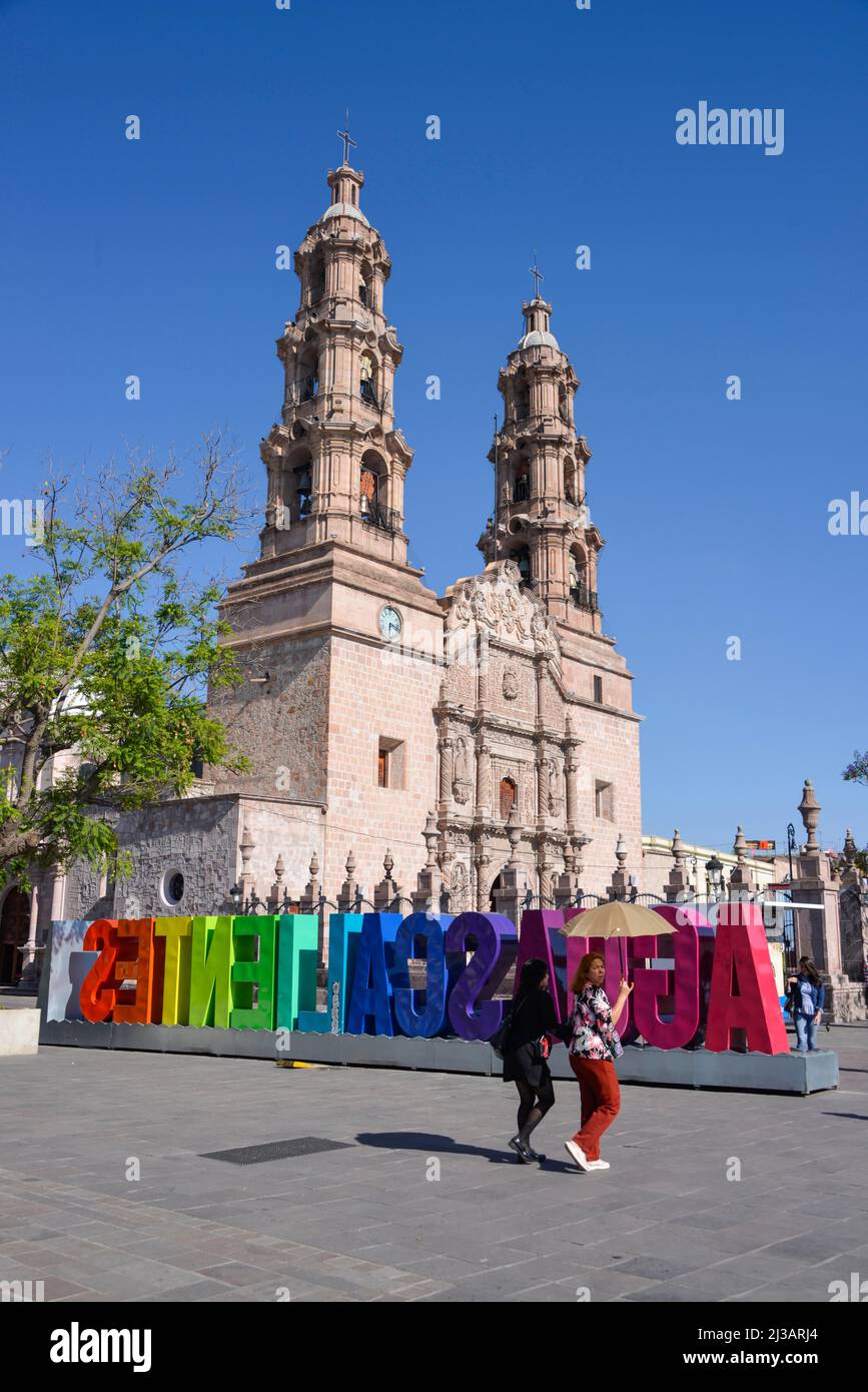 Catedral Basilica De Nuestra Senora De La Asuncion Plaza De La Patria Aguascalientes Mexico 8408