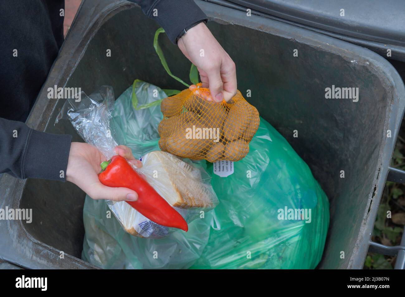 Food, Waste, Bin, Waste, Rescue Stock Photo