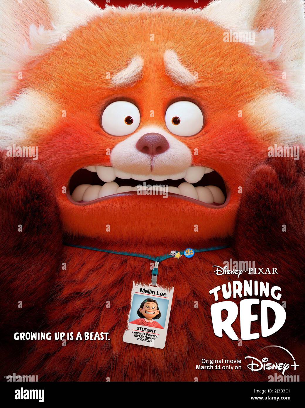 TURNING RED (2022), directed by DOMEE SHI. Credit: Pixar Animation Studios / Walt Disney Pictures / Album Stock Photo - Alamy TURNING RED (2022), directed by DOMEE SHI. Credit: Pixar Animation Studios / Walt Disney Pictures / Album Stock Photo - Alamy