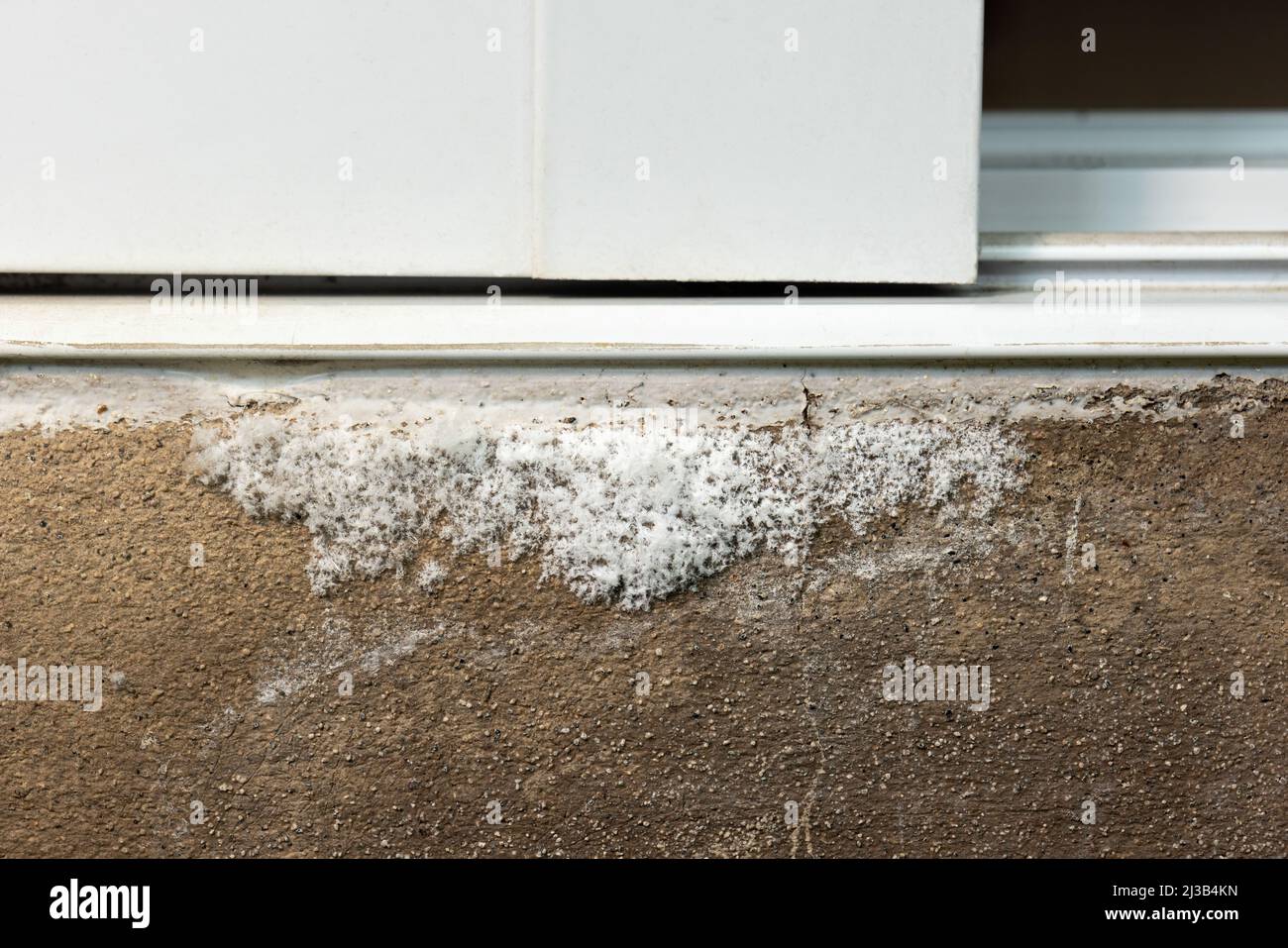 Efflorescence is stain white salt on moisture concrete wall Stock Photo