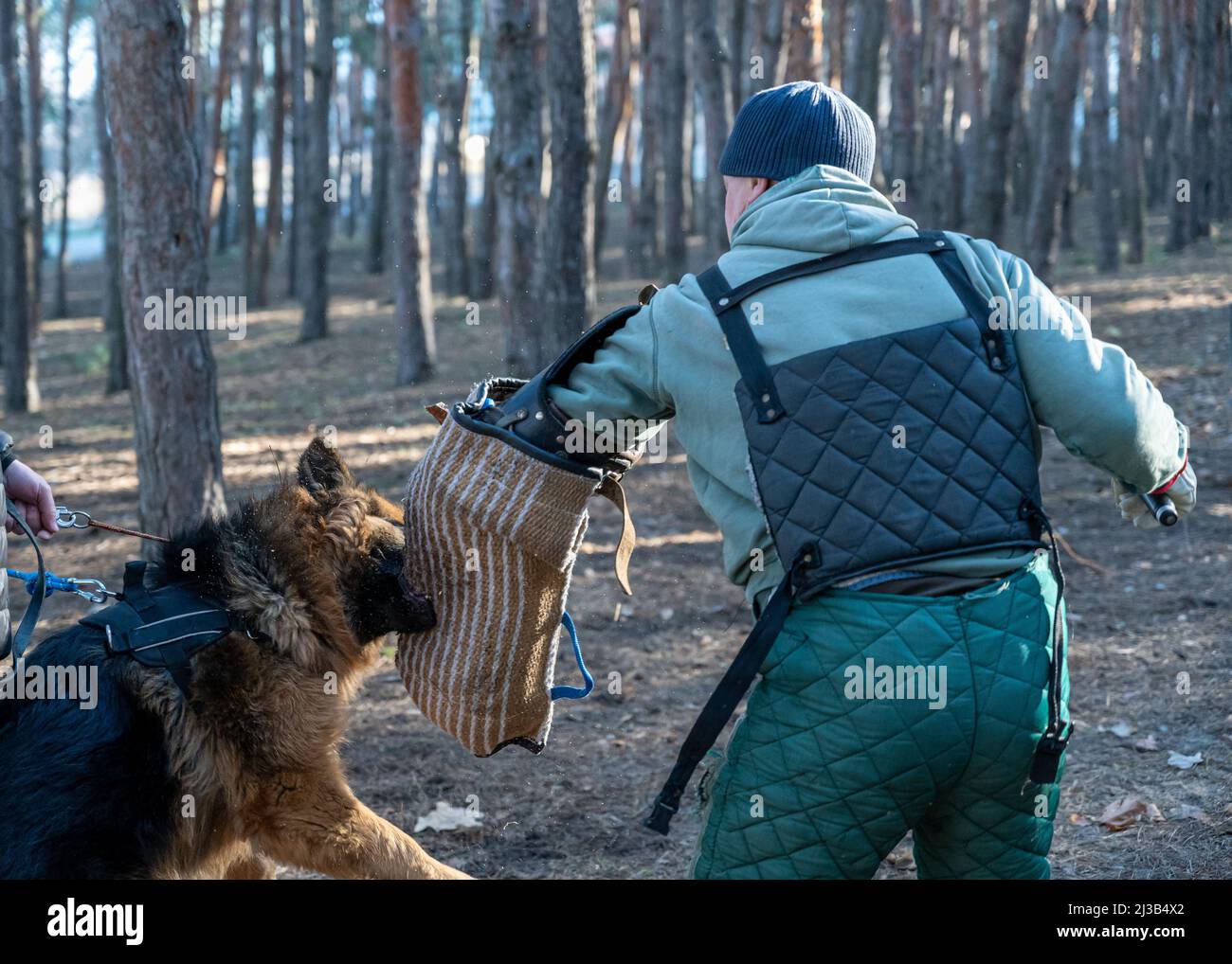 german shepherd clothing for adults