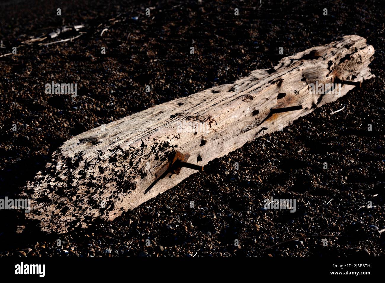 Beached wooden groyne due to coastal erosion Bawdsey Ferry Suffolk England Stock Photo