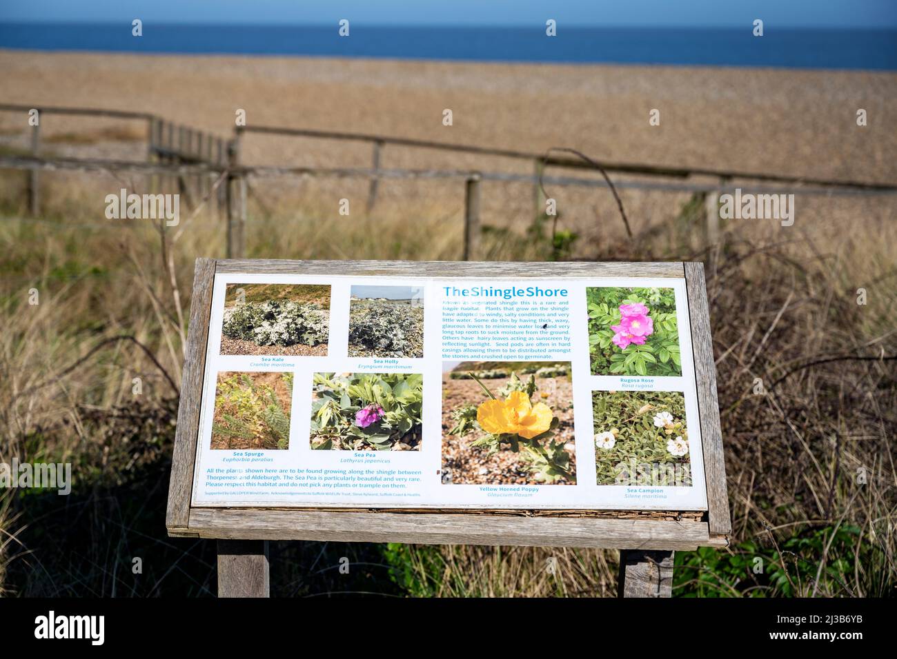 Information board showing the plants that grow on the beach at