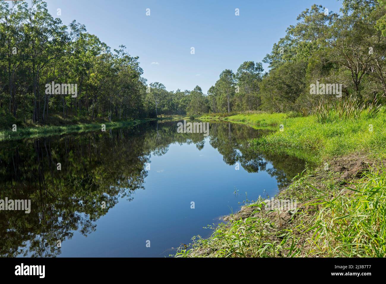 Rural landscape with forest and blue sky reflected in mirror surface of tranquil water of lagoon hemmed by trees and emerald grasses in Australia Stock Photo