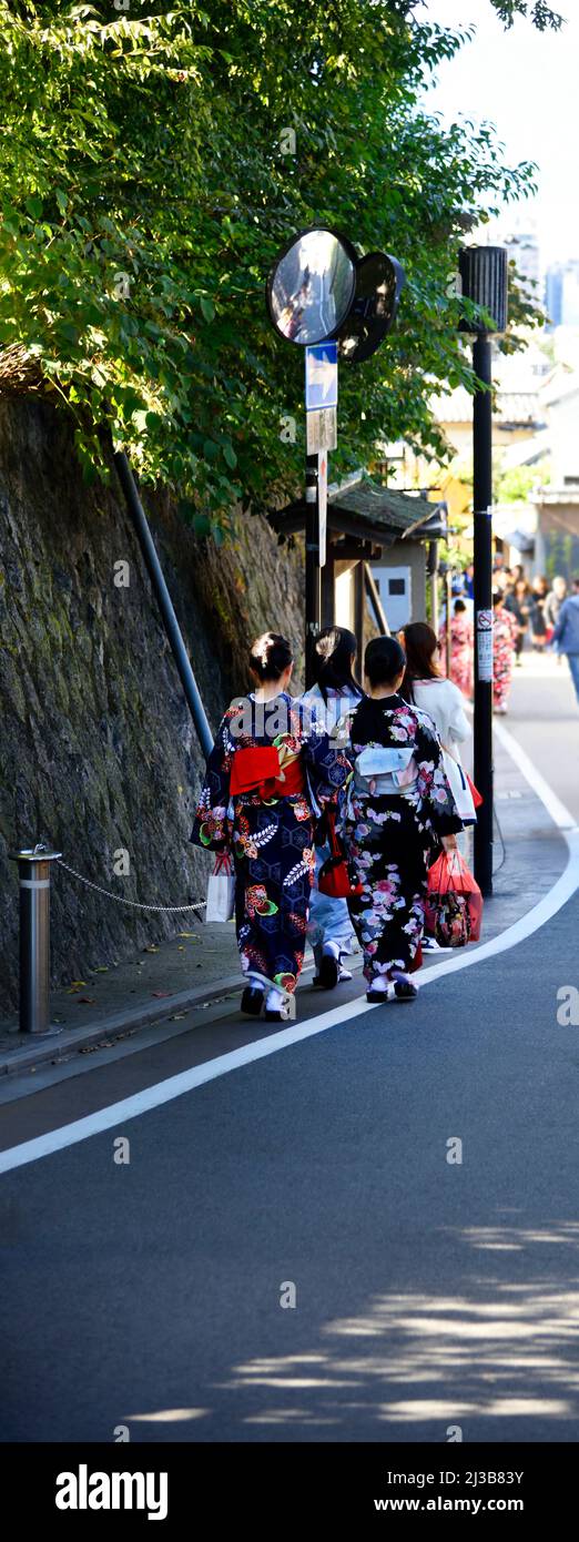 Kimono Stock Photo