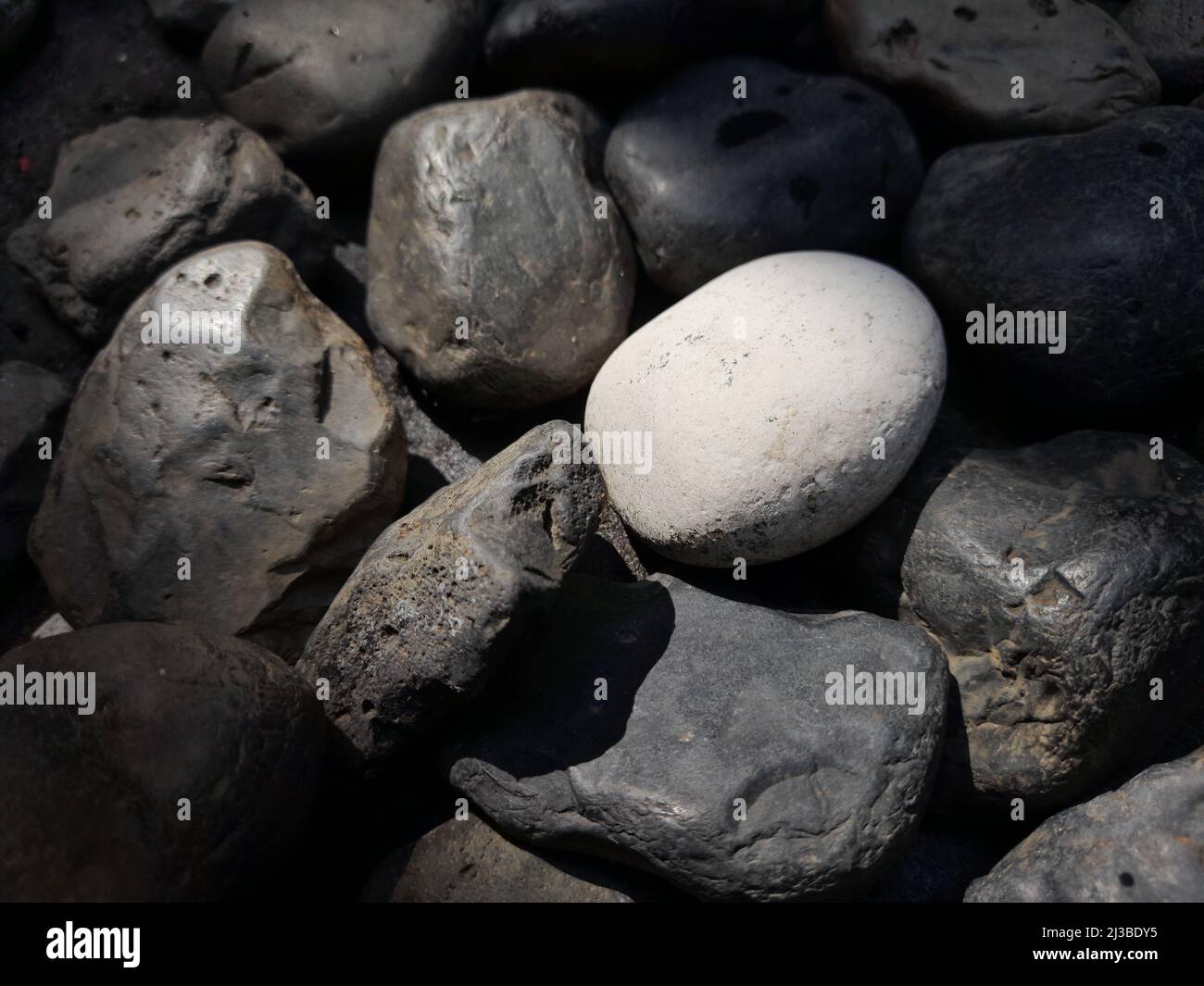 A white rock in between grey rocks under sunlight Stock Photo Alamy