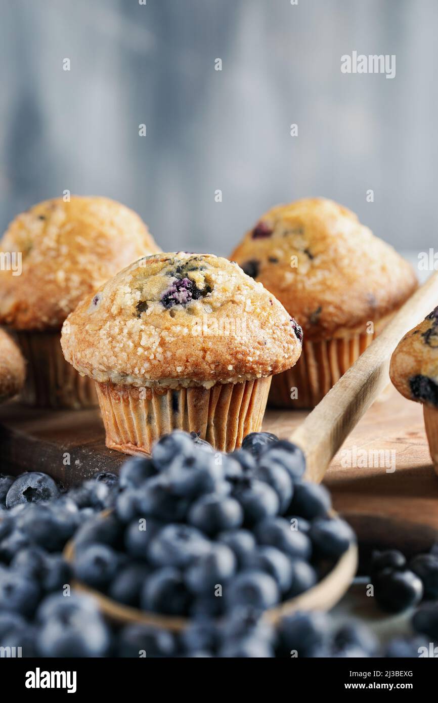 Fresh blueberry muffins with raw blueberries spilling from a wooden spoon in front view. Selective focus on center with blurred background. Stock Photo