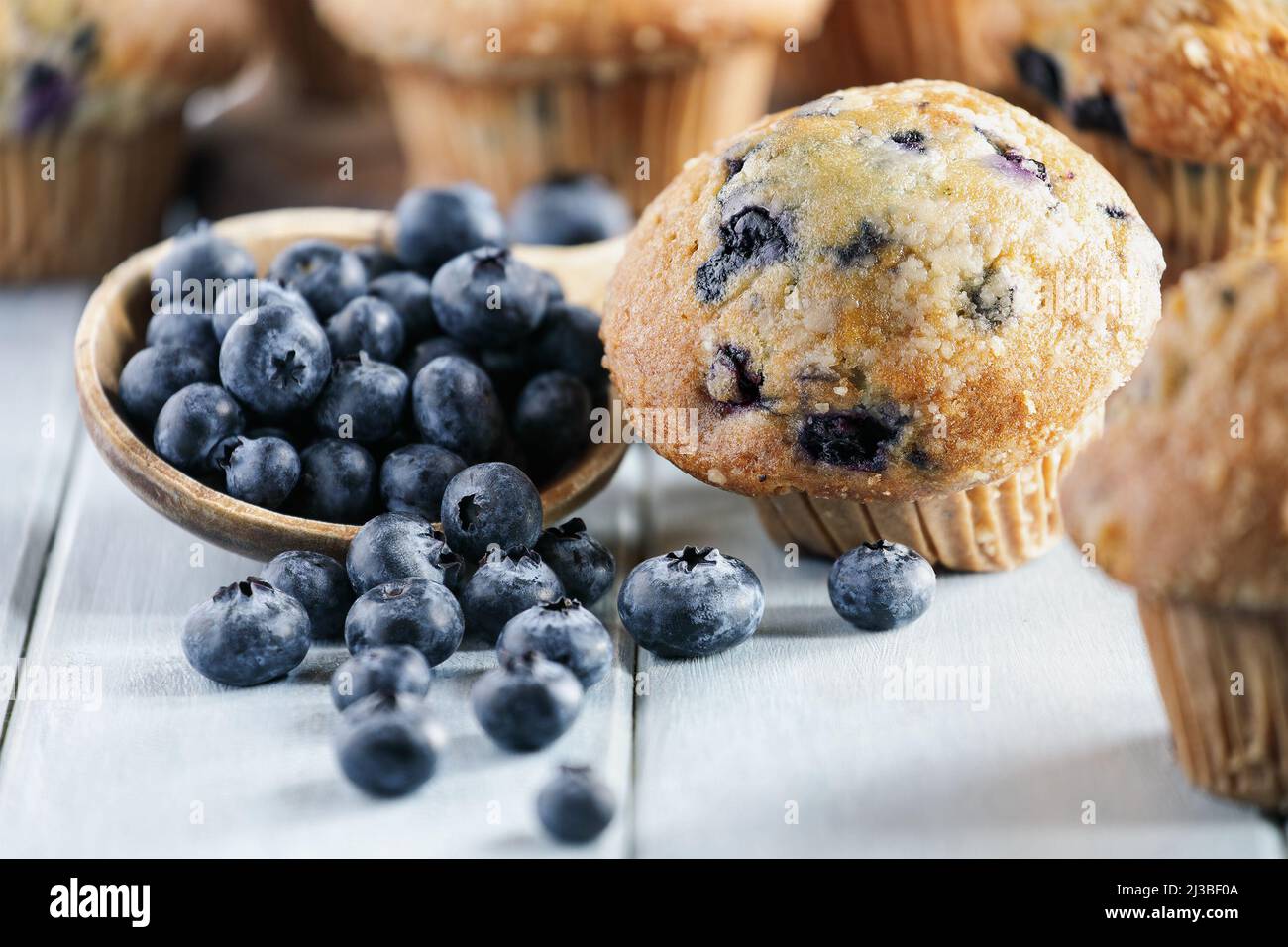 Fresh blueberry muffins with raw blueberries spilling from a wooden spoon. Selective focus on center with blurred foreground and background. Stock Photo