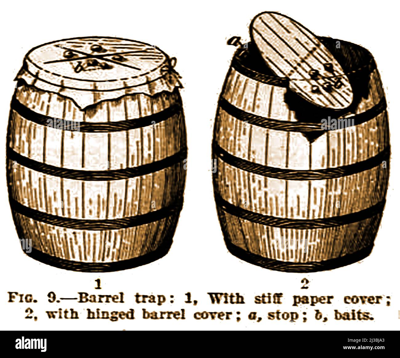 RAT TRAPS. A Victorian English  illustration showing a rat trap made from a wooden barrel with a thin paper top and another with a hinged swivel top, both designed to catch the vermin in the barrel as it jumps on top to retrieve the bait Stock Photo
