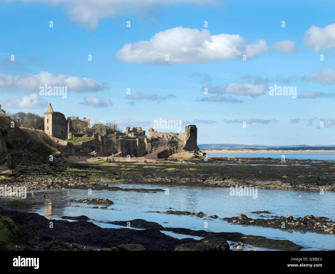 The ruins of St Andrews Castle from the harbour at St Andrews Fife Scotland Stock Photo